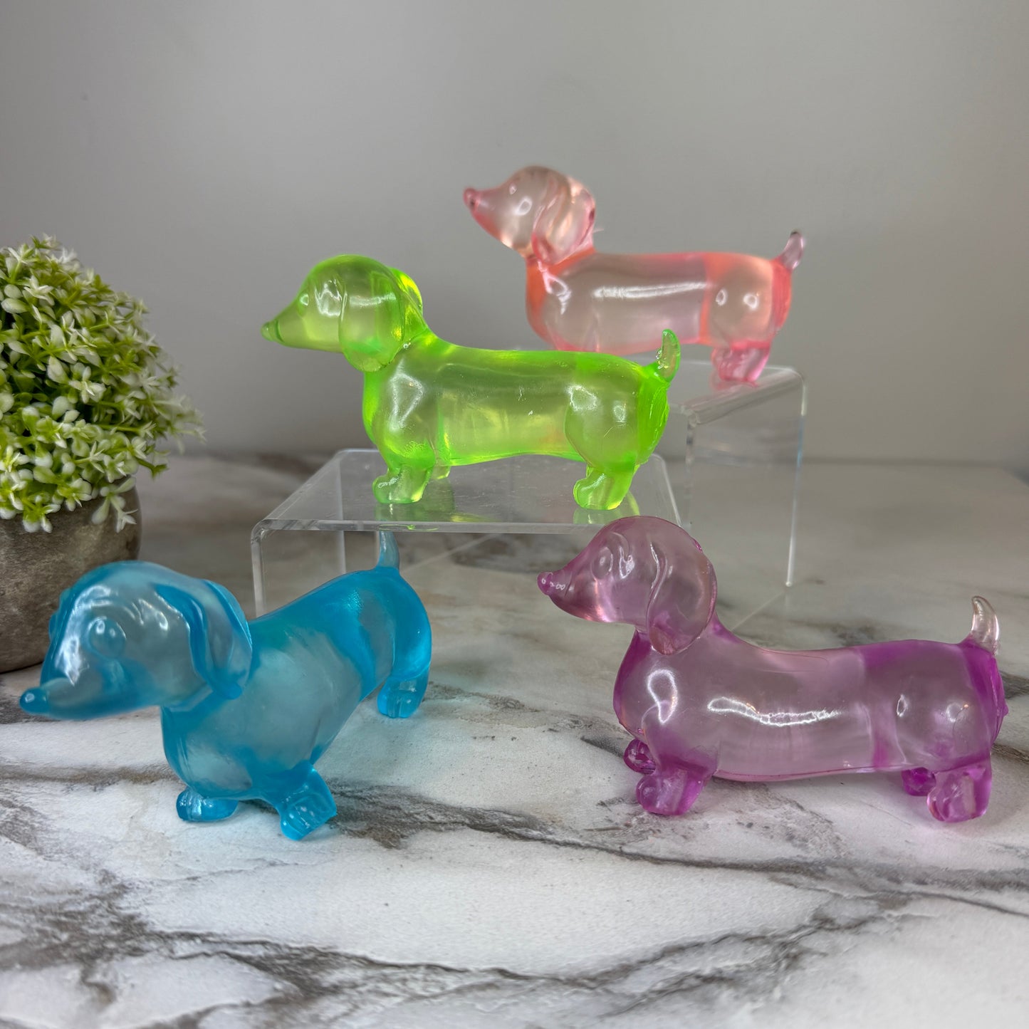 Squishy Toy - Weiner Dog